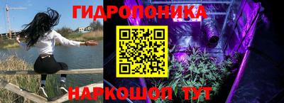 шишки Старая Купавна