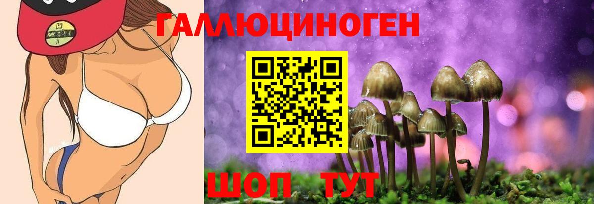 Ржев  Галлюциногенные грибы мицелий  Вход с VPN 